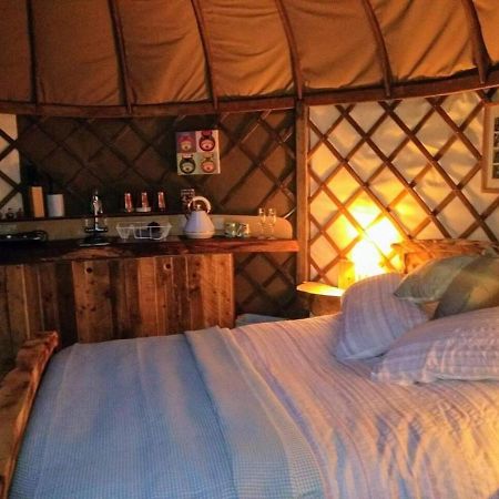 Bembridge Harbour Yurt - Log Burner - Wifiヴィラ エクステリア 写真