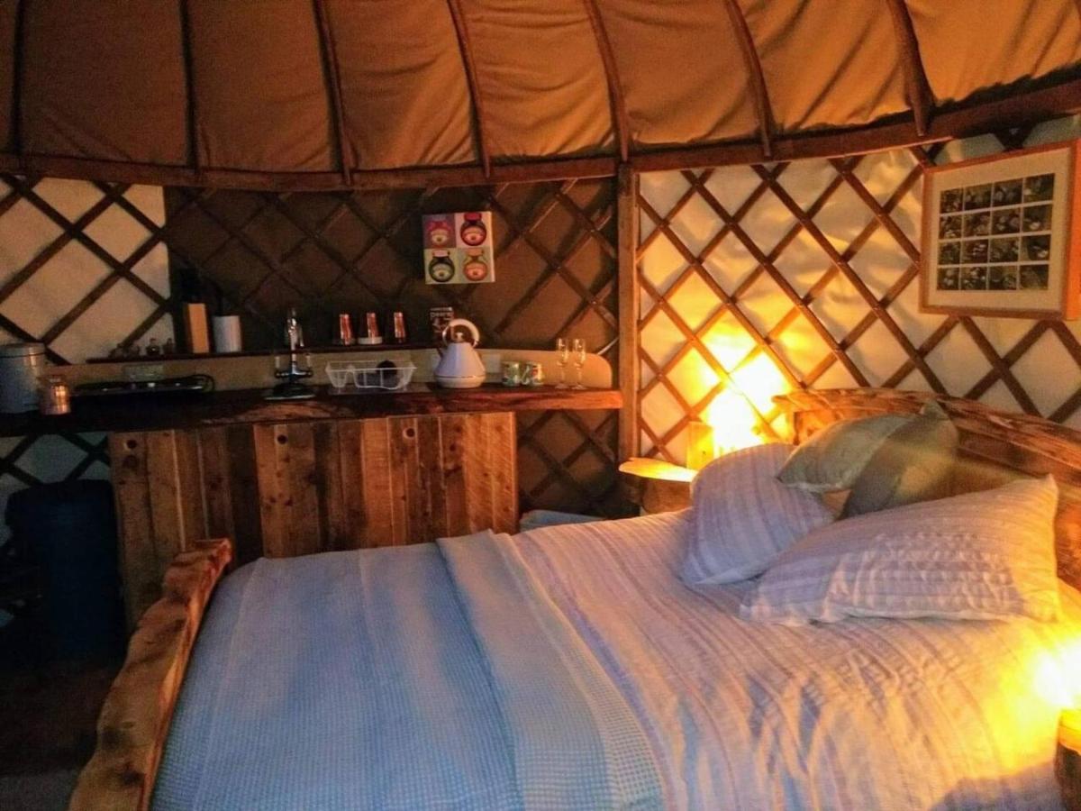 Bembridge Harbour Yurt - Log Burner - Wifiヴィラ エクステリア 写真